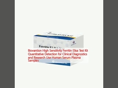 Biovantion Υψηλή ευαισθησία Ferritin Elisa Test Kit Ποσοτική ανίχνευση για κλινική διάγνωση και έρευνα Χρησιμοποιήστε ανθρώπινα δείγματα πλάσματος ορού