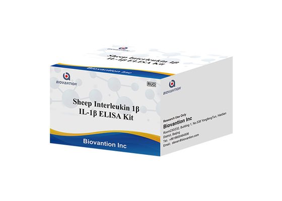 Πρόβατα Interleukin 1 βήτα εξάρτηση εξαρτήσεων Il1b Elisa δοκιμής εξαρτήσεων IL1F2 ELISA RUO της Elisa