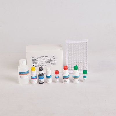 Κίτ Elisa για ανθρώπινη PTH/Κίτ Elisa για ανθρώπινη παραθυρεοειδή ορμόνη για RUO με 96 δοκιμές