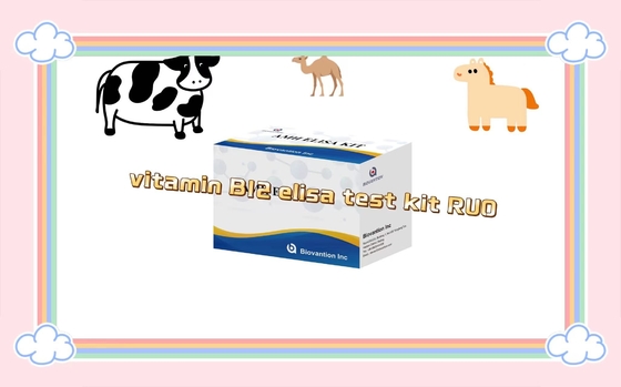 Βιταμίνη Β12 Elisa Test Kit Of Enzyme- Linked Product RESEARCH Χρησιμοποιείται μόνο σε δοκιμές σε ζώα