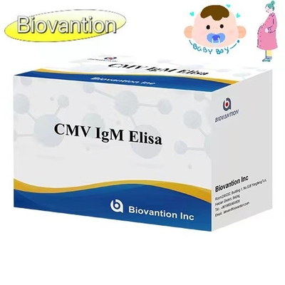 CMV IgM ELISA Kit Υψηλής ακρίβειας Εγκυμονούσες γυναίκες Προληπτική δοκιμή
