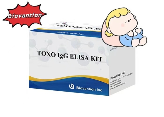 Πυροσβεστική υψηλής ευαισθησίας TOXO IgG ELISA δοκιμαστική συσκευή Νοσοκομειακό τεστ Έλεγχος εγκυμοσύνης