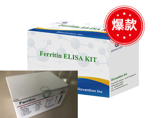 Φεριτίνη Elisa Test Kit Ενζυμικά συνδεδεμένα προϊόντα Σύντομο χρόνο μεταφοράς