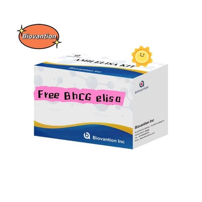Δωρεάν ΒHCG Elisa Test Kit Σόρος Αποθήκευση 2- 8.