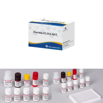 Φεριτίνη IVD Elisa Ζώο συντηρητικό για δείγματα πλάσματος ορού