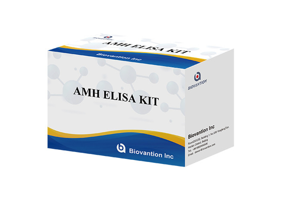 Αντι- Μυλλεριανή ορμόνη AMH Elisa Test Kit Για ανθρώπινη χρήση με ορό πλάσματος