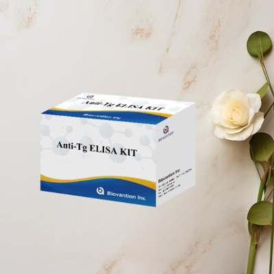 Αντι- Tg ELISA Test Kit Τυροσφαιρίνη Ab In Vitro ποσοτικός προσδιορισμός