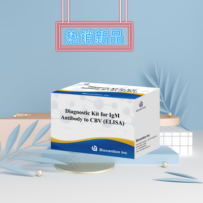 CBV igm ELISA KIT D διαγνωστικό αντιδραστήρα 18 μήνες Χρονοδιάστημα ισχύος Ενζυμικά συνδεδεμένο ελεγχόμενο ελεγχόμενο ανοσοσυλλεκτικό