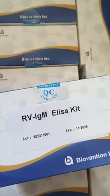 Αίσθηση RV- M Elisa Rapid 2-3 ώρες χρόνος εξέτασης για ακριβή αποτελέσματα