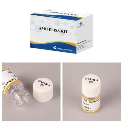Δοκιμή IVD Αντι- Μυλλεριανή ορμόνη AMH Elisa για ανθρωπίνους ανιχνευτές με 96 δοκιμές