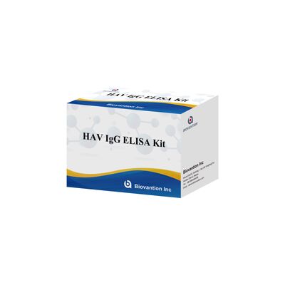Υψηλής ευαισθησίας HAV IgG ELISA Kit (0,2 ng/mL) CE Πιστοποιημένο για ακριβή ανίχνευση του ιού της ηπατίτιδας Α σε 96 δοκιμές