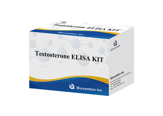 Εργαστηριακό ή Νοσοκομειακό Κιτ Ελέγχου ELISA Χωρίς Τεστοστερόνη
