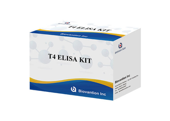 Κιτ Ανίχνευσης Θυροξίνης T4 Elisa