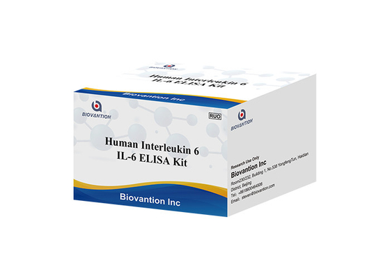 Ανθρώπινο Interleukin 6 διεγερτικός παράγοντας 2 bsf-2 IFNB2 IL-6B-κυττάρων εξαρτήσεων δοκιμής RUO