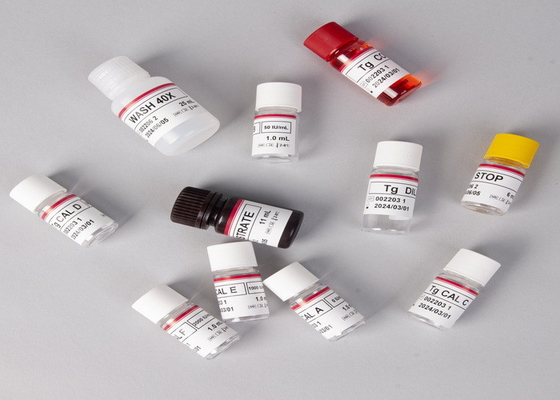 In vitro ανίχνευση Ιατρική ανίχνευση Υψηλής ακρίβειας E2 ELISA Test Kit
