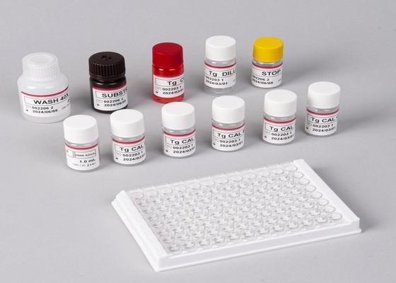 In vitro ανίχνευση Ιατρική ανίχνευση Υψηλής ακρίβειας E2 ELISA Test Kit