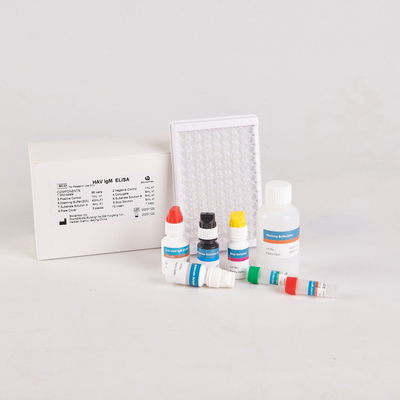 Ανθρώπινο Malondialdehyde Elisa Kit / Ανθρώπινο Elisa kit