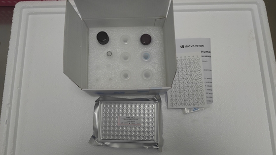 Βιταμίνη Β1 Elisa Test Kit Δοκιμή σε ζώα Ερευνήματα σε ενζύμια