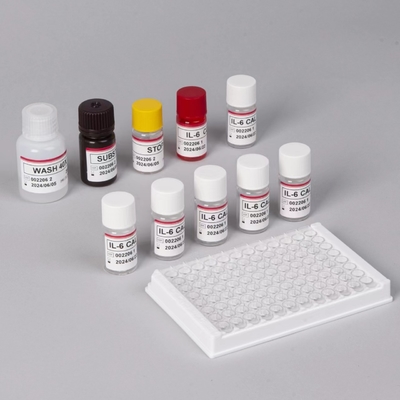 IL-6 Interleukin 6 Elisa Test Kit με 2-3 ώρες χρόνου εξέτασης Biovantion Σόρος / πλάσμα 18 μήνες Χρονοδιάστημα ζωής