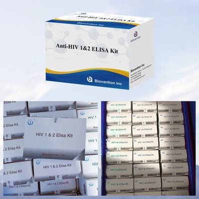 Biovantion Anti- HIV ELISA Test Kit 18 μήνες Χρονοδιάστημα ισχύος για τις δοκιμές HIV- 1 και HIV- 2