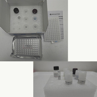 Βιταμίνη Ε Elisa Test Kit Of Enzyme- Linked Product RESEARCH Χρησιμοποιείται μόνο σε δοκιμές σε ζώα