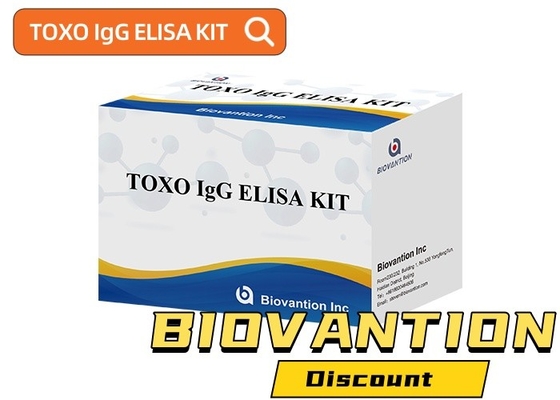 Το TOXO Ig G ευαίσθητο και ειδικό ελεγκτικό κιτ Elisa για την παρακολούθηση της νόσου