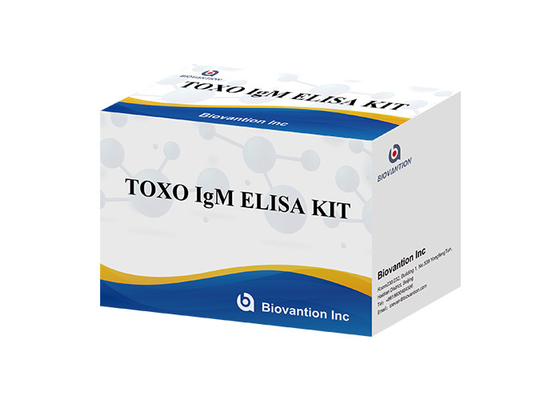 Το TOXO Ig G ευαίσθητο και ειδικό ελεγκτικό κιτ Elisa για την παρακολούθηση της νόσου