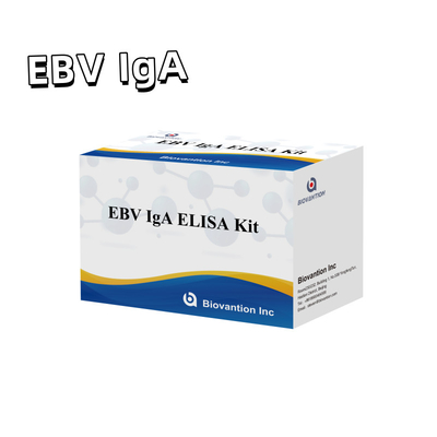 Επαγγελματικό Κιτ Ελέγχου Elisa για Διαγνωστικό Κιτ για Αντίσωμα IgA στο EBV-Zta