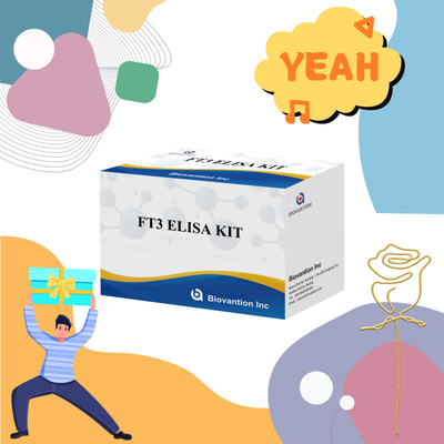 FT3 Δωρεάν Τριιοδοθυρονίνη Για Ανθρώπινα Διαγνωστικά Αντιδραστήρια Κιτ Με 96T Δοκιμή ELISA Για Εργαστήριο Κλινικών Νοσοκομείων