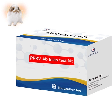 Peste Des Petits Ruminants PPRV Ab ELISA Kit Κουτί κτηνιατρικών δοκιμών