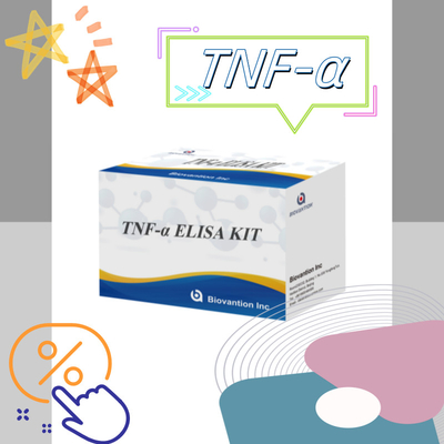 TNF-α RUO Έλεγχος Ελίζα για το πλάσμα ορού Ακριβής και βολική διαγνωστική λύση για την έρευνα