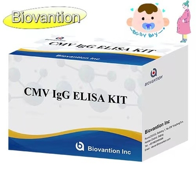 CMV IgG ELISA Kit Εγκυμονούσες γυναίκες Προληπτική εξέταση Υψηλή ακρίβεια