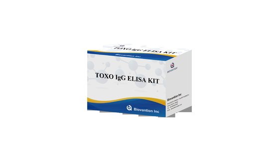 Πυροσβεστική υψηλής ευαισθησίας TOXO IgG ELISA δοκιμαστική συσκευή Νοσοκομειακό τεστ Έλεγχος εγκυμοσύνης