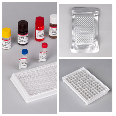 Εγκυκλοπαιδεία για το HIV Ab Ag Elisa με διάρκεια ζωής 18 μηνών και υψηλή ευαισθησία/ειδικότητα