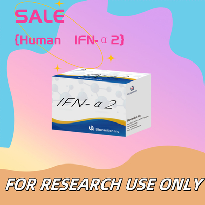 Ελίζα αντιδραστήρες Kit Ανθρώπινο IFN-α2 για Ερευνητική Χρήση Ελίζα αντιδραστήρες Υψηλή ευαισθησία