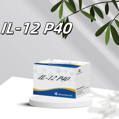 96 T ορό 98% ιδιαιτερότητα ELISA RUO Test Kit Ανθρώπινο IL-12 P40