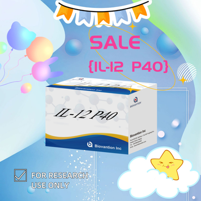 96 T ορό 98% ιδιαιτερότητα ELISA RUO Test Kit Ανθρώπινο IL-12 P40