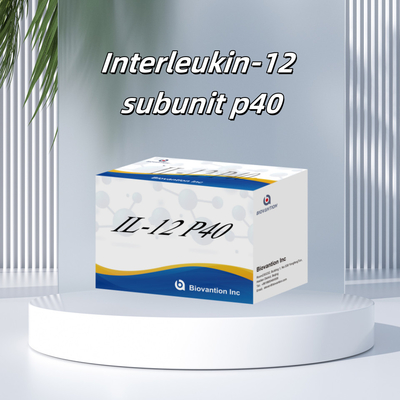 96 T ορό 98% ιδιαιτερότητα ELISA RUO Test Kit Ανθρώπινο IL-12 P40