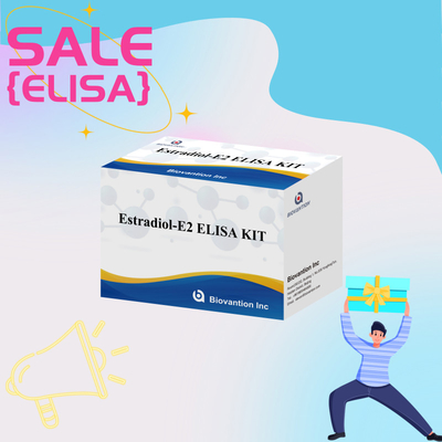 Το Biovantion Estradiol Quantitative 96-Well Plate Test Kit για δείγματα ορού με αυξημένη ευαισθησία