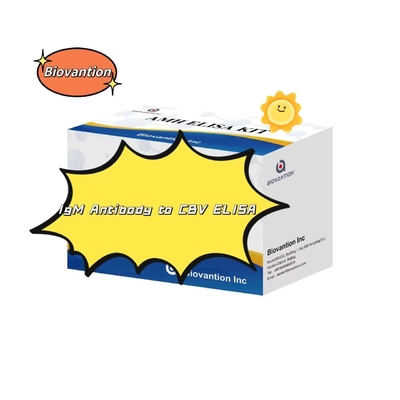 Δοκιμαστικό κιτ για αντισώματα IgM κατά CBV Elisa Test Kit 50μL ορό ιατρική διάγνωση