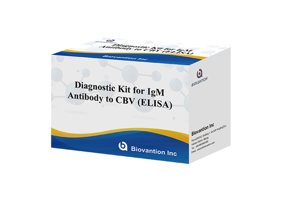 Δοκιμαστικό κιτ για αντισώματα IgM κατά CBV Elisa Test Kit 50μL ορό ιατρική διάγνωση
