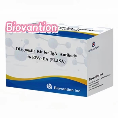 EBV-EA Elisa Test Kit Διαγνωστικό κιτ για IgA αντισώματα υψηλής ακρίβειας