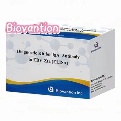 Διαγνωστικό κιτ για αντισώματα IgA κατά του EBV-Zta ELISA TEST KIT Immunosorbent Assay Test Kit