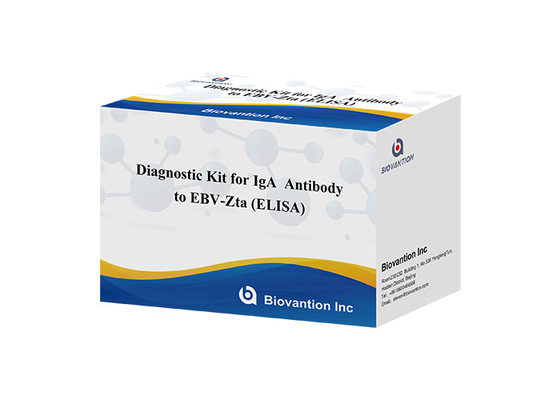 Διαγνωστικό κιτ για αντισώματα IgA κατά του EBV-Zta ELISA TEST KIT Immunosorbent Assay Test Kit