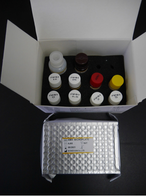 Τεστ δοκιμής AMH ELISA 3 ώρες 18 μήνες Χρόνος διατήρησης με CE ISO13485