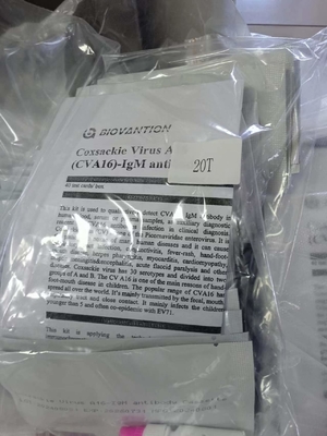Ο ιός Coxsackie A16 CVA16-IgM αντισώματα Κασέτα ταχείας εξέτασης ορό ταχείας εξέτασης Επαγγελματίας