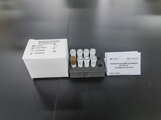 Ηπατίτιδα Β ιός HBV ποσοτική PCR KIT Ευαισθησία δείγματος Τύπος δοκιμής Kit με 96 δοκιμές