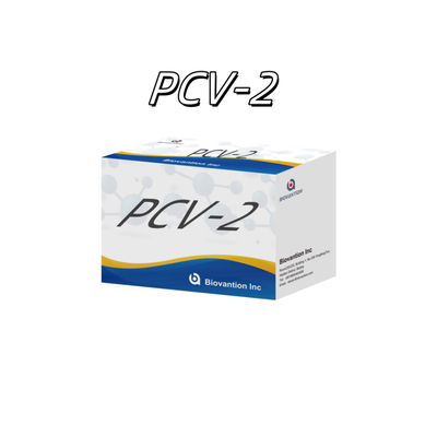 Δοκιμή ELISA WB/S/P PCV-2 για αντισώματα από ζώα