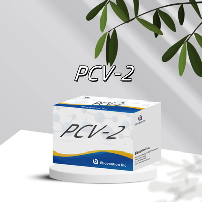 Δοκιμή ELISA WB/S/P PCV-2 για αντισώματα από ζώα