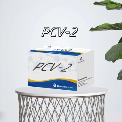 Δοκιμή ELISA WB/S/P PCV-2 για αντισώματα από ζώα